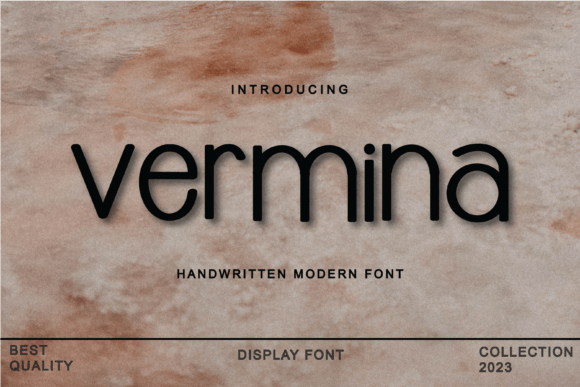 Vermina: A Modern Font for Polished Branding