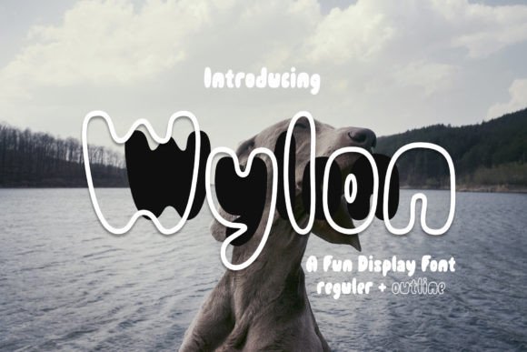 Wylon Font for Handmade and Commercial Crafts